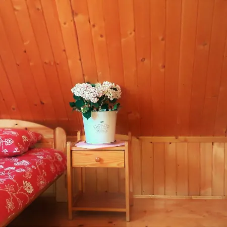 Domki Goralskie Vakantiehuis Poronin
